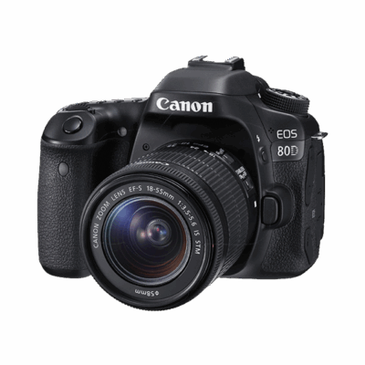 Vestibulum ante ipsum primis