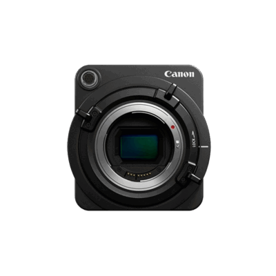 Aenean non pellentesque mauris